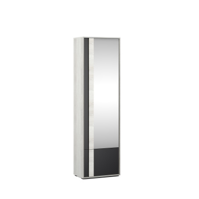 Однодверный шкаф Esido TL1222.2