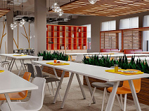 Столовые и кафе