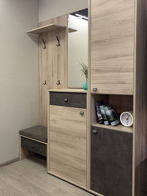 Прихожая Altera