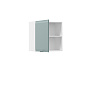 Навесной шкаф с распашной дверью Turin TR1142.5